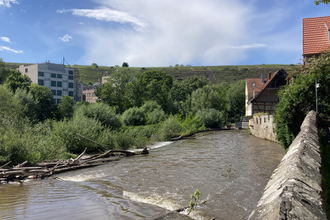 Fluss in Besigheim mit angrenzenden Gebäuden und Weinbergen im Hintergrund. | © Stadt Besigheim