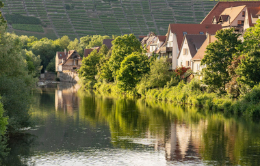 Fluss mit Häusern und Weinbergen im Hintergrund in Besigheim. | © Stadt Besigheim
