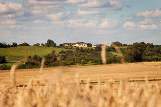 Frühjahrsverkostung | © WEINGUT LUDWIG HONOLD
