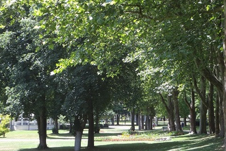 Führung "Baumbegegnungen" | © Kurverwaltung Bad Mergentheim