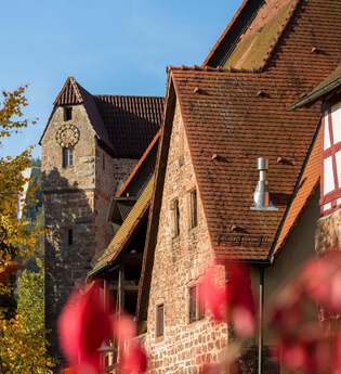 Geführte Tour: Stauferstadt Eberbach | © Foto Stadt Eberbach / Andreas Held