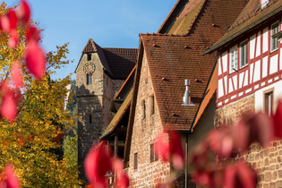 Geführte Tour: Stauferstadt Eberbach | © Foto Stadt Eberbach / Andreas Held