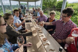Theo | Planwagen- und Weinbergrundfahrten | Brackenheim | © Weingärtner Stromberg-Zabergäu