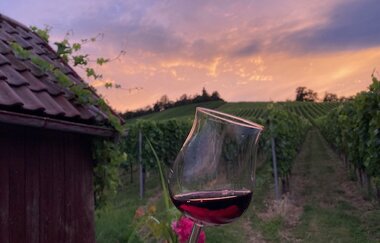 Golden Hour WineWalk