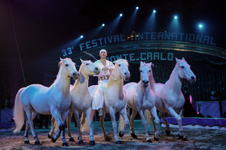 Heilbronner Weihnachtscircus