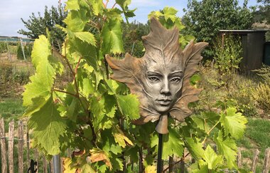 Heilkräuterführung im SANA.MUNDA Heilkräutergarten | © NZT