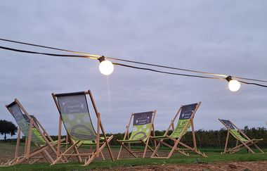 Herbst Vibes im Weingut Schaaf