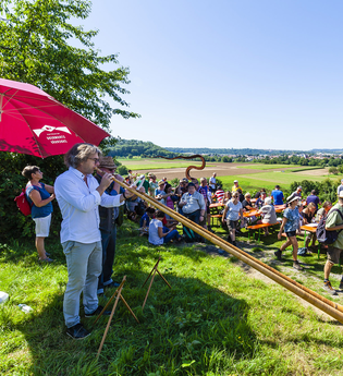 Weinterrasse Kirchheim | Weingärtner Stromberg-Zabergäu | HeilbronnerLand | © Weingärtner Stromberg-Zabergäu