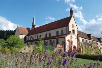 KIWANIS: Die Dschungelbande von Rodscha und Tom | © Kloster Bronnbach