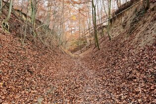 Kraichgau: Hohlwege und mehr