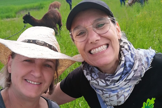 Alpakawanderung | © Stadt Bönnigheim