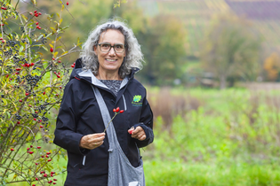 Naturführung | © Stadt Bönnigheim