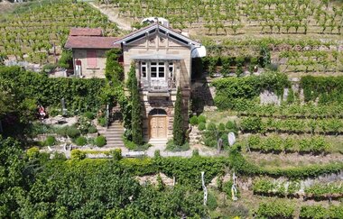 Kunst, Wein und Musik im Schlössle | © Weinmanufaktur Feucht