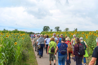 Maulbronner Kammerchor: Wanderkonzert II