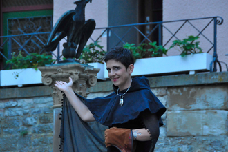 Mit den Falken auf Schürzenjagd | © Stadt Bad Wimpfen