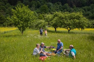 Mittwoch-Wanderung im August | © TOURISMUS REGION WERTHEIM GmbH