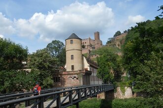 Mittwoch-Wanderung im Mai | © TOURISMUS REGION WERTHEIM GmbH