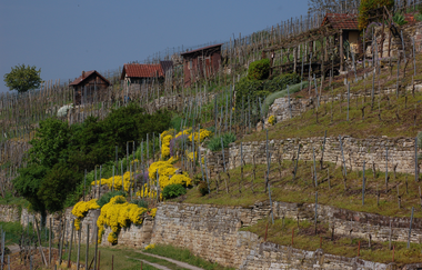 Mühlhausen an der Enz - abseits gelegen, aber nicht hinterm Mond