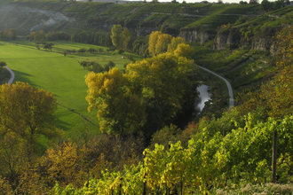 Mühlhausen an der Enz: Wein und Steine - Geschichte und Geschichten