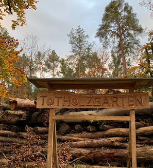 Natürlich künstlich. Wald, Sanddüne und Totholzgarten