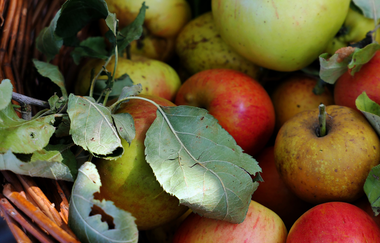 Naturparkmarkt Brackenheim | © Naturpark Stromberg-Heuchelberg