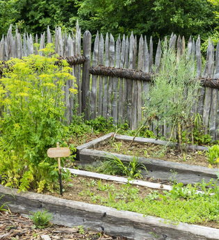 Ökogarten Baumerlenbach Gartenbesichtigung | © TMBW