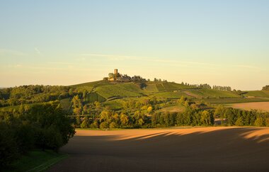Pfingstverkostung | © Heitlinger Genusswelten
