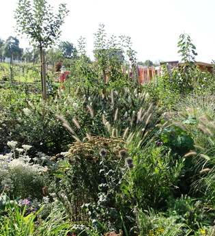 Kräutergarten | © Stadt Öhringen