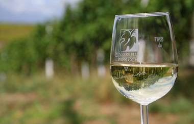 Radtour und Weinprobe mit Andreas Ihle | © Quelle: Landratsamt Rhein-Neckar-Kreis