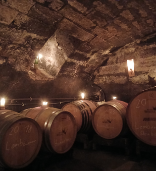 Richtig lecker! Weinprobe im Probierstüble | © Weingut Weiberle