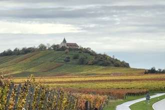 Rund um den Michaelsberg – Geschichte und Geschichten