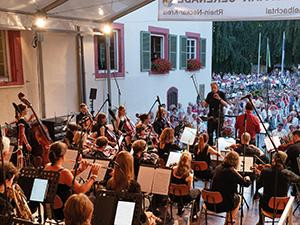 Bild vom Orchester | © Schlossparkserenade (Foto: Dorothea Burkhard)