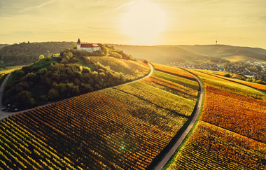 Herbstlandschaft am Michaelsberg Cleebronn | Schönste Weinsicht Württemberg | HeilbronnerLand | © Touristikgemeinschaft HeilbronnerLand