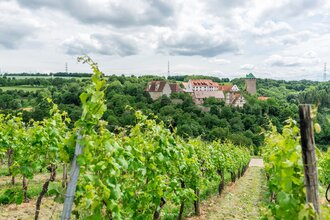 Schloss Liebenstein | Neckarwestheim | HeilbronnerLand | © Schloss Liebenstein