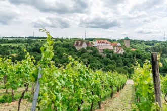 Schloss Liebenstein | Neckarwestheim | HeilbronnerLand | © Schloss Liebenstein