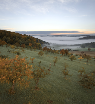 Streuobstwiesen erleben | © Kraichgau-Stromberg Tourismus e.V.