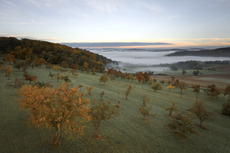 Streuobstwiesen erleben | © Kraichgau-Stromberg Tourismus e.V.
