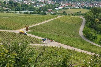 Sundowner im Weinberg | © Weingut Weiberle