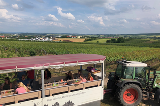 Planwagen Zabergäu-Bummler vor Weinbergen | © Neckar-Zaber-Tourismus e.V.
