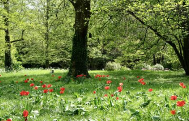 Trauerspaziergang | © Hospizdienst