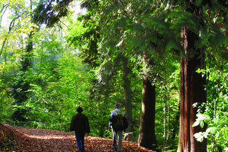 Ein Paar läuft im Exotenwald | © Maria Zimmermann