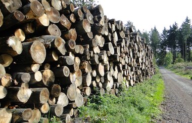 Stapel geschlagenes Holz | © NZT