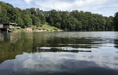 Wälder, Wiesen, Wasser, Werkstein und Wein | © Stadt Maulbronn