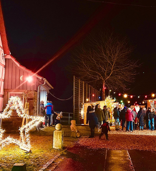 Blick auf den festlich geschmückten Weihnachtsmarkt in Zaisenhausen | © Touristikgemeinschaft Hohenlohe e.V. | Gemeinde Mulfingen