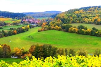 Wein mal anders: Welche Rolle spielen unsere Sinne bei der Weinverkostung? | © Unbekannt
