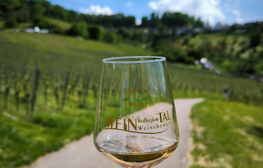 Wein über Berg & Tal - Weinwanderevent Löwensteiner Berge | HeilbronnerLand | © Touristikgemeinschaft HeilbronnerLand