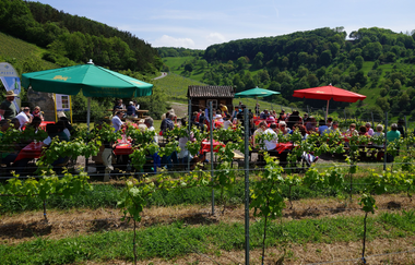 Wein über Berg und Tal | WeinWanderEvent | Weinsberger Tal | HeilbronnerLand | © Tourismus im Weinsberger Tal e.V.