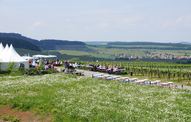 Wein über Berg und Tal | WeinWanderEvent | Weinsberger Tal | HeilbronnerLand | © Wein über Berg und Tal