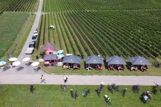 Weinausschank Bühl-Hütte | © Privatkellerei Rolf Willy GmbH