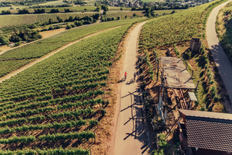 Weinausschank am Zweifelberg aus der Vogelperspektive | © Chris Frumolt